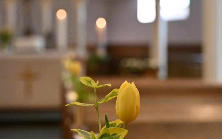 Gelbe Blüte in einer Kirche mit verschwommenem Hintergrund von Sitzbänken und Kerzen.